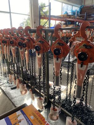 1,5m Handmatige Kettingtakel met Hendel 1 Ton Capaciteit Zwaar Werk Handmatige Hefgereedschap voor Industriële Takelwerkzaamheden